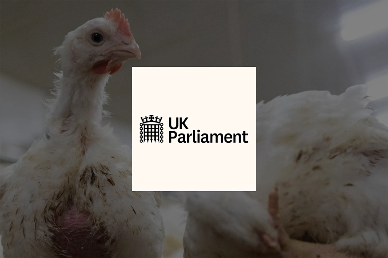 Ask your MP to take action
