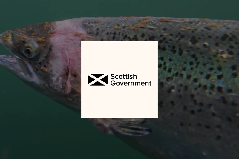 Ban Salmon Farming