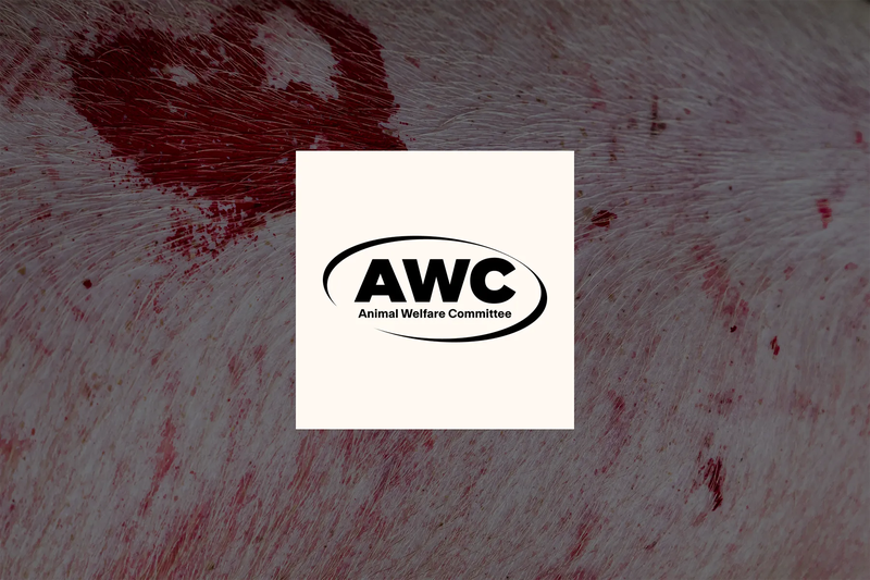 Ask your MP to take action